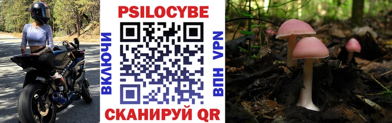 Галлюциногенные грибы Cubensis что такое наркотик площадка какой сайт Городище